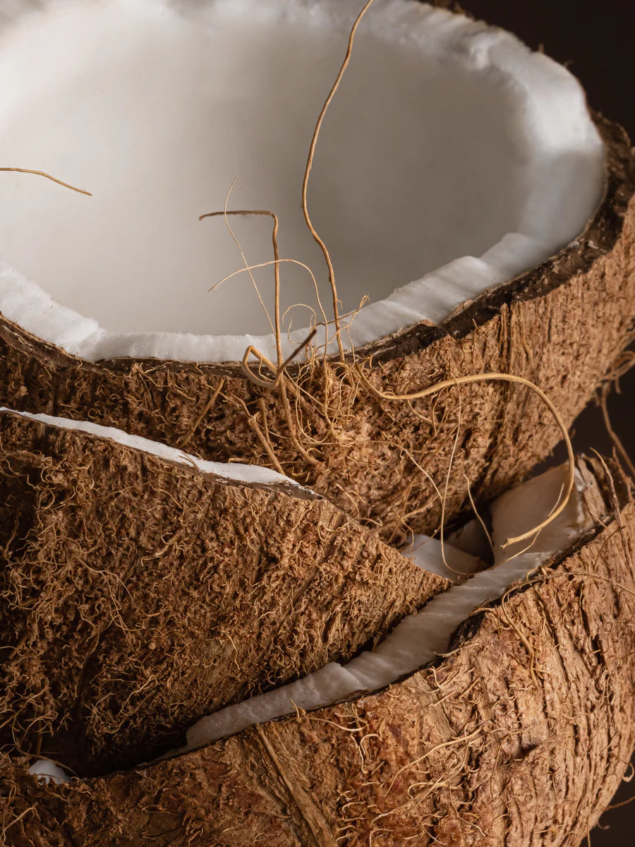 Pura x Becki Owens Coconut Calm Diffuser Refill