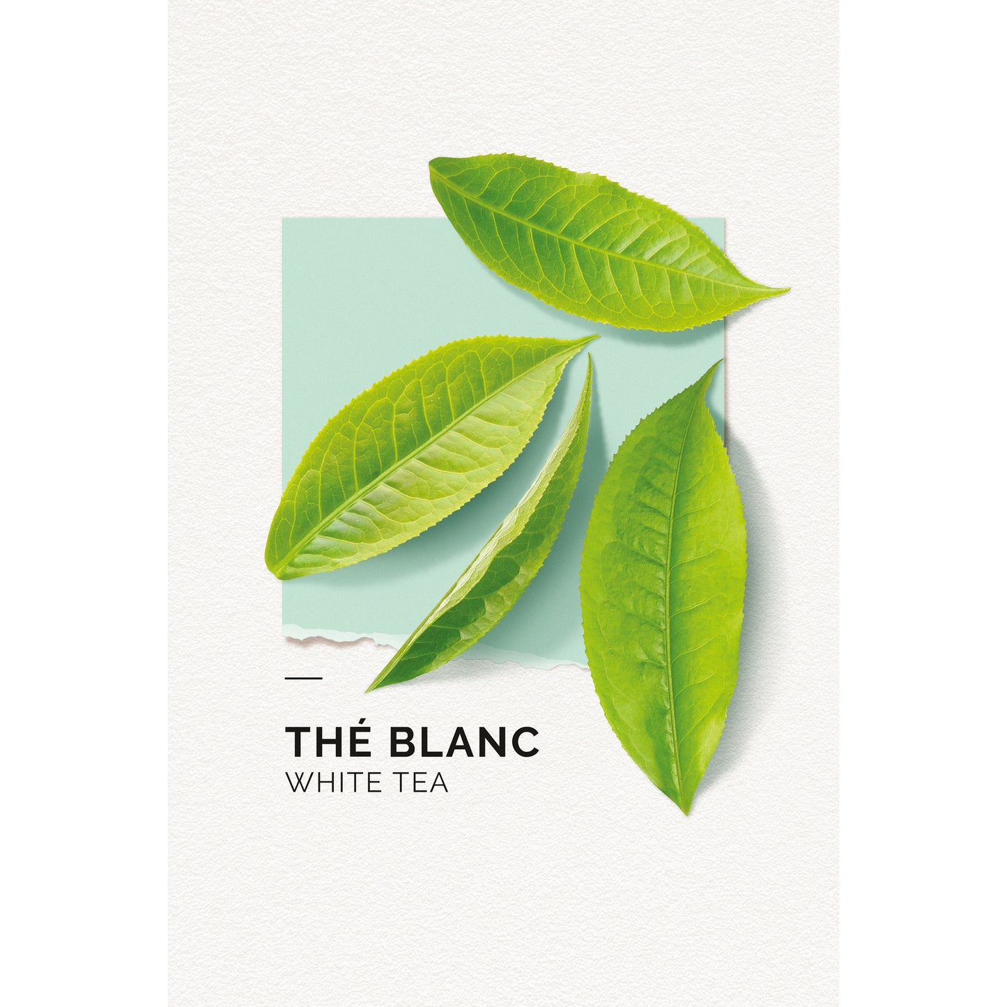 Cracker set - 2 x 10 ml (Yuzu, The Blanc)