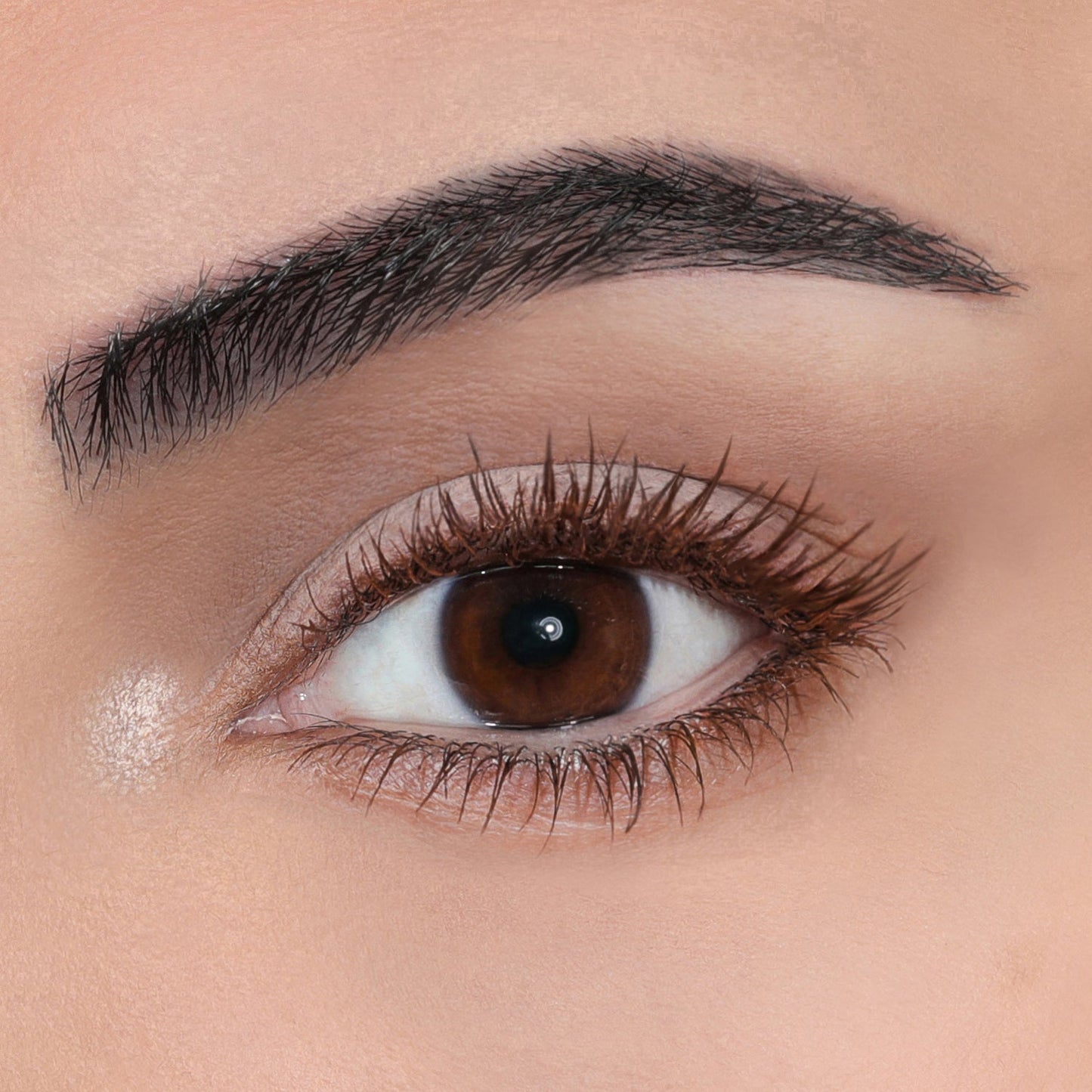 F*ck Proof Mascara | Brown
