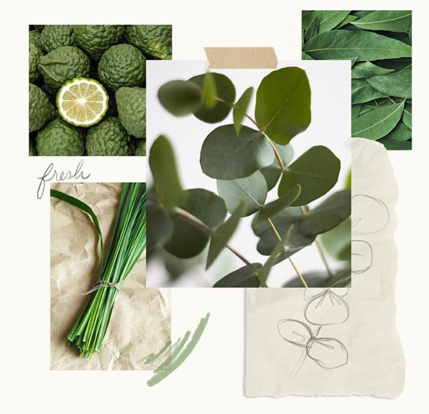 Eucalyptus Pura Smart Home Diffuser Refill