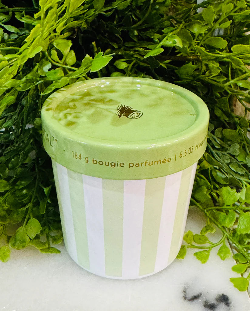 Caffe Capri 6.5oz Gelato Cup, Coconut Santal