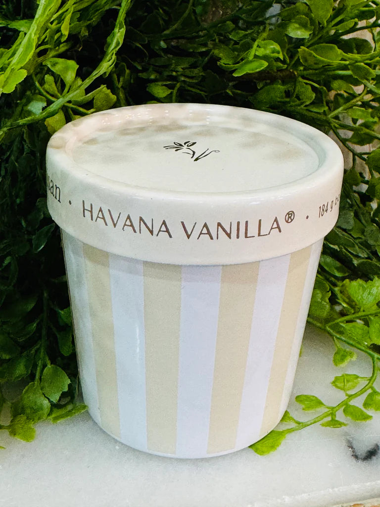 Caffe Capri 6.5oz Gelato Cup, Havana Vanilla