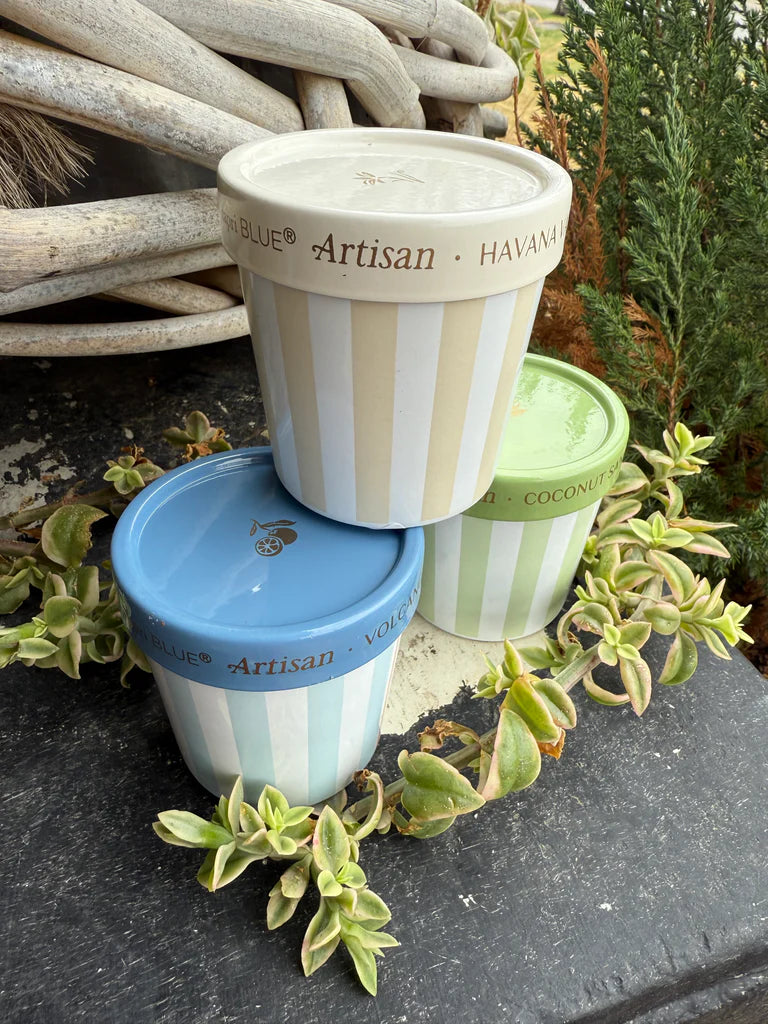 Caffe Capri 6.5oz Gelato Cup, Coconut Santal