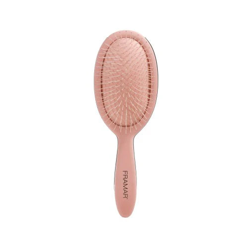 $150 Perk: Framar Detangling Hair Brush