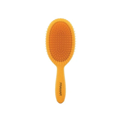 $150 Perk: Framar Detangling Hair Brush